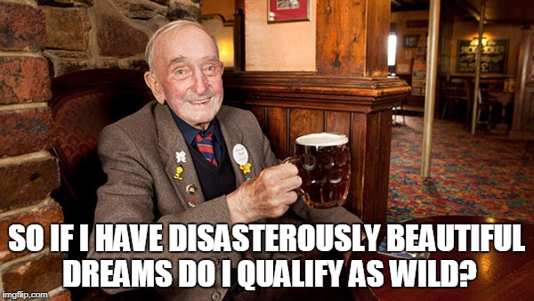 SO IF I HAVE DISASTEROUSLY BEAUTIFUL DREAMS DO I QUALIFY AS WILD? | made w/ Imgflip meme maker