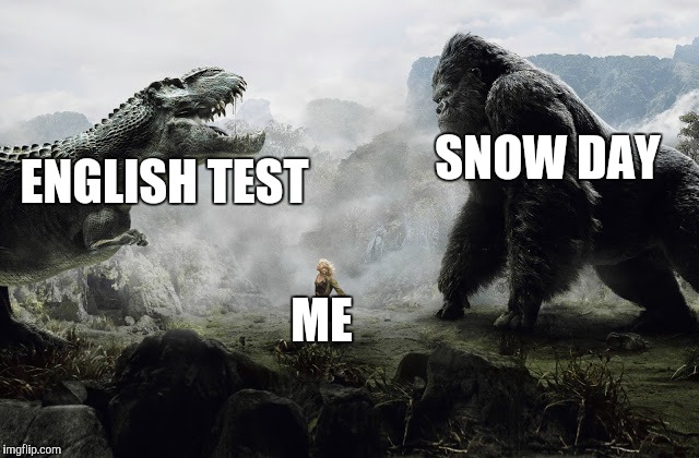 save by snow | SNOW DAY; ENGLISH TEST; ME | image tagged in test | made w/ Imgflip meme maker