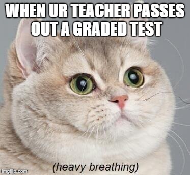 Heavy Breathing Cat Meme | WHEN UR TEACHER PASSES OUT A GRADED TEST | image tagged in memes,heavy breathing cat | made w/ Imgflip meme maker
