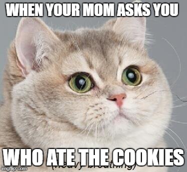 Heavy Breathing Cat | WHEN YOUR MOM ASKS YOU; WHO ATE THE COOKIES | image tagged in memes,heavy breathing cat | made w/ Imgflip meme maker
