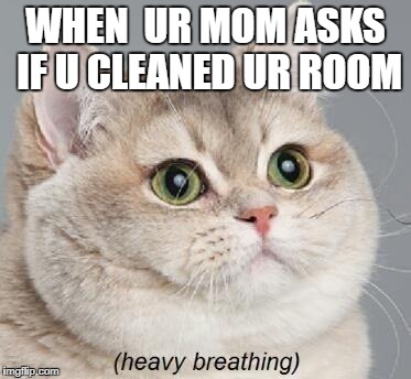 Heavy Breathing Cat Meme | WHEN  UR MOM ASKS IF U CLEANED UR ROOM | image tagged in memes,heavy breathing cat | made w/ Imgflip meme maker