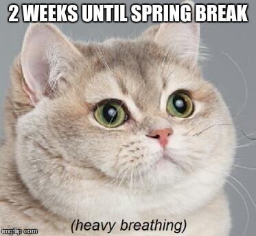 Heavy Breathing Cat | 2 WEEKS UNTIL SPRING BREAK | image tagged in memes,heavy breathing cat | made w/ Imgflip meme maker