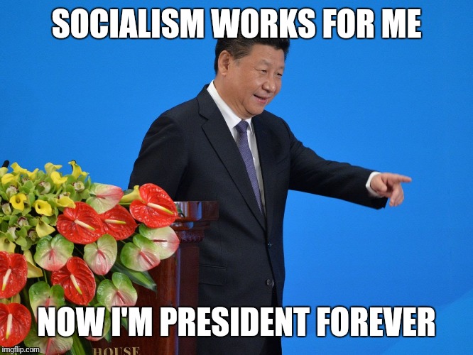 SOCIALISM WORKS FOR ME NOW I'M PRESIDENT FOREVER | made w/ Imgflip meme maker