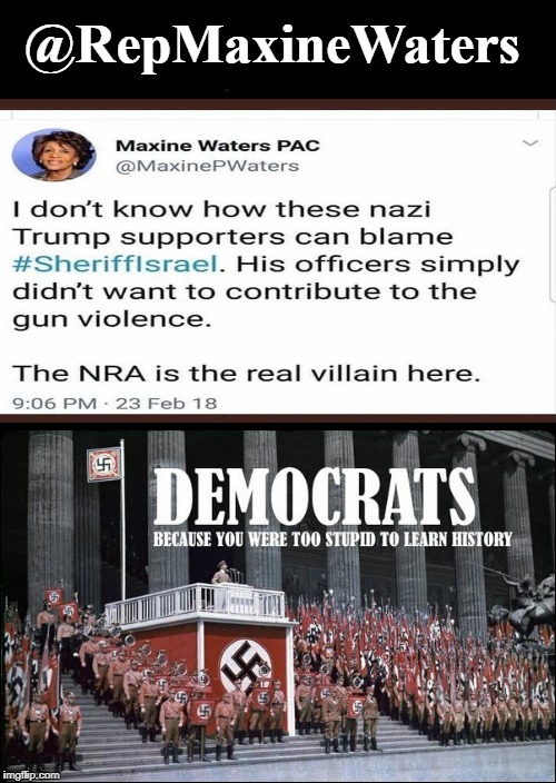 @RepMaxineWaters: Because you were too STUPID to learn history | @RepMaxineWaters | image tagged in repmaxinewaters,democrats,nazis,cowards of broward,nra | made w/ Imgflip meme maker