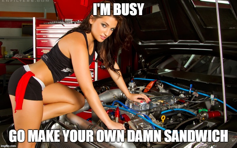 fake/real girl mechanic | I'M BUSY; GO MAKE YOUR OWN DAMN SANDWICH | image tagged in fake/real girl mechanic | made w/ Imgflip meme maker
