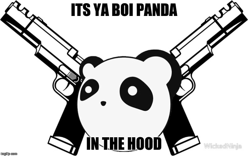 ITS YA BOI PANDA; IN THE HOOD | image tagged in panda,in the hood | made w/ Imgflip meme maker