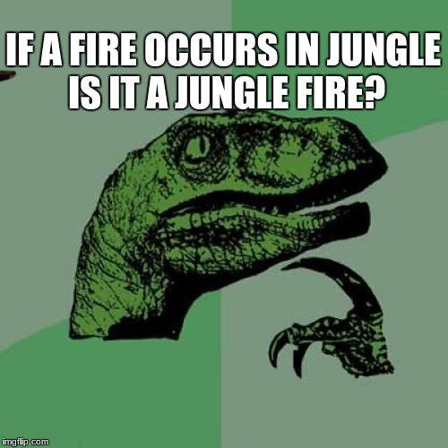Philosoraptor | IF A FIRE OCCURS IN JUNGLE IS IT A JUNGLE FIRE? | image tagged in memes,philosoraptor,scumbag | made w/ Imgflip meme maker