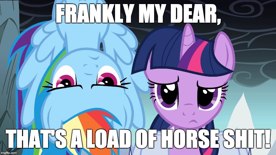 When the person you're arguing with, brings up bullshit arguments. | FRANKLY MY DEAR, THAT'S A LOAD OF HORSE SHIT! | image tagged in memes,my little pony,nsfw | made w/ Imgflip meme maker