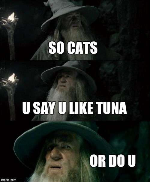 Confused Gandalf | SO CATS; U SAY U LIKE TUNA; OR DO U | image tagged in memes,confused gandalf | made w/ Imgflip meme maker