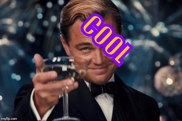 Leonardo Dicaprio Cheers Meme | COOL | image tagged in memes,leonardo dicaprio cheers | made w/ Imgflip meme maker