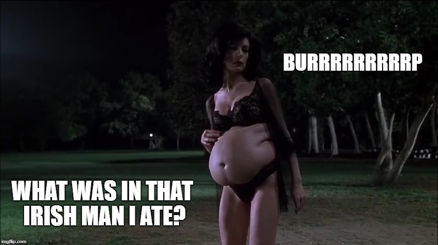BURRRRRRRRRP; WHAT WAS IN THAT IRISH MAN I ATE? | image tagged in serleena lara flynn boyle | made w/ Imgflip meme maker