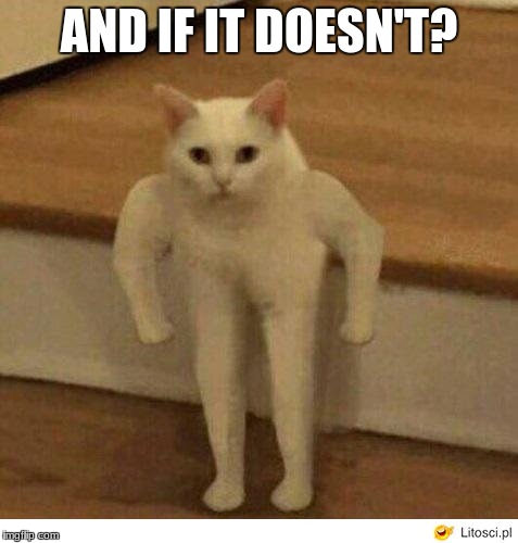Buff Half Cat | AND IF IT DOESN'T? | image tagged in buff half cat | made w/ Imgflip meme maker