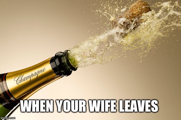 WHEN YOUR WIFE LEAVES | made w/ Imgflip meme maker