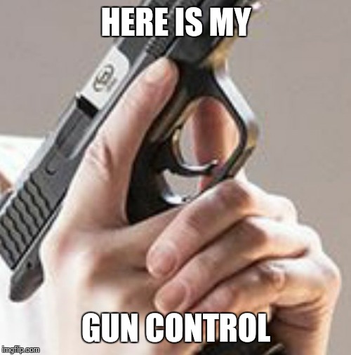 Trigger Discipline  | HERE IS MY GUN CONTROL | image tagged in trigger discipline | made w/ Imgflip meme maker