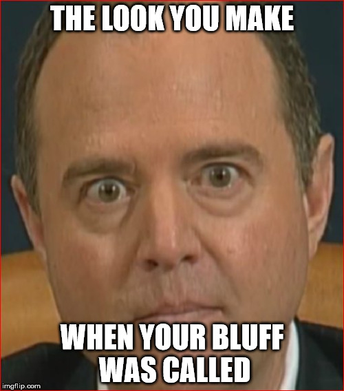 Adam Schiff | THE LOOK YOU MAKE; WHEN YOUR BLUFF WAS CALLED | image tagged in adam schiff | made w/ Imgflip meme maker