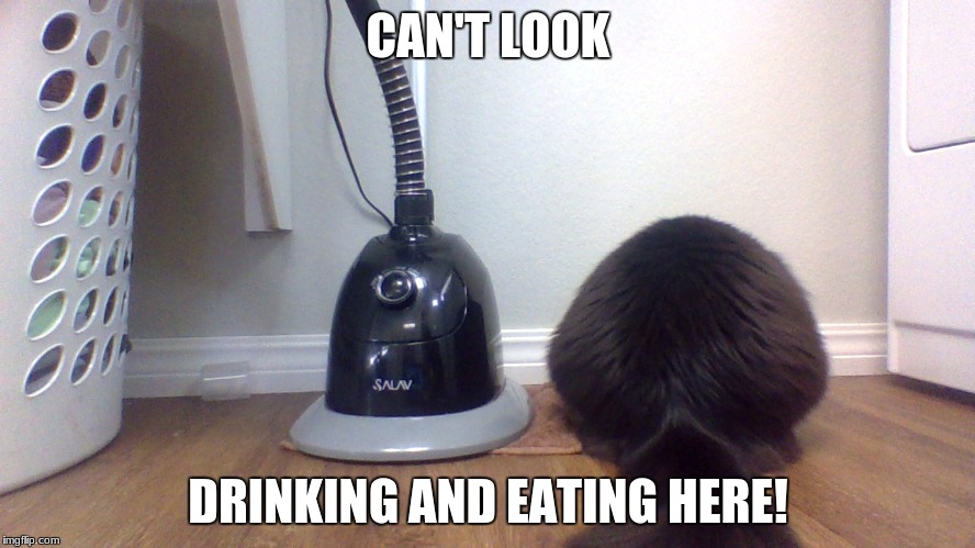 CAN'T LOOK; DRINKING AND EATING HERE! | made w/ Imgflip meme maker