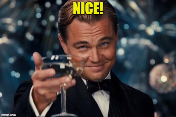 Leonardo Dicaprio Cheers Meme | NICE! | image tagged in memes,leonardo dicaprio cheers | made w/ Imgflip meme maker