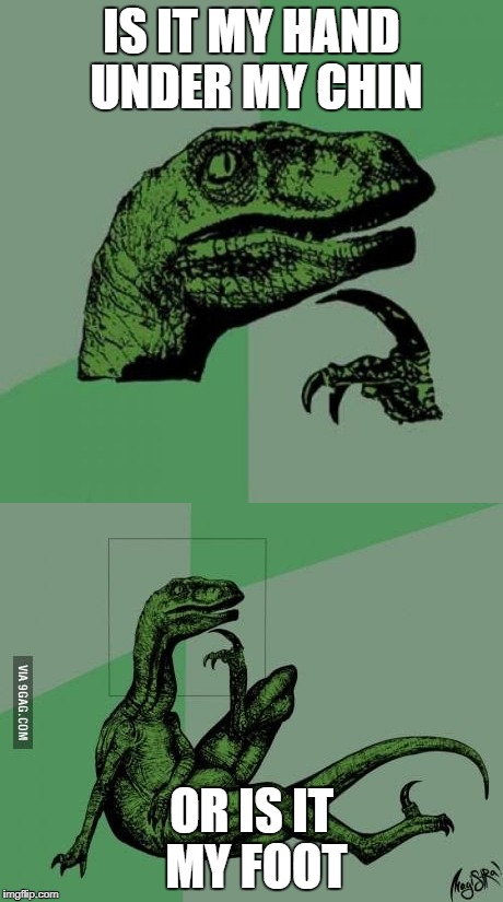 full images of memes | IS IT MY HAND UNDER MY CHIN; OR IS IT MY FOOT | image tagged in philosoraptor,memes,full image | made w/ Imgflip meme maker
