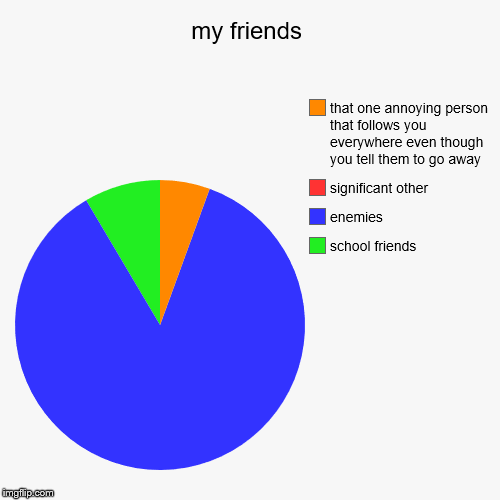 my friends | school friends, enemies, significant other, that one annoying person that follows you everywhere even though you tell them to g | image tagged in funny,pie charts | made w/ Imgflip chart maker