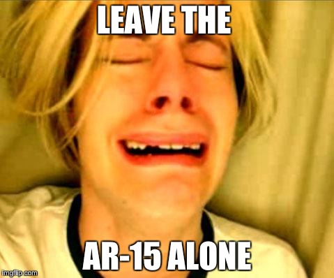 Leave Britney Alone | LEAVE THE; AR-15 ALONE | image tagged in leave britney alone | made w/ Imgflip meme maker