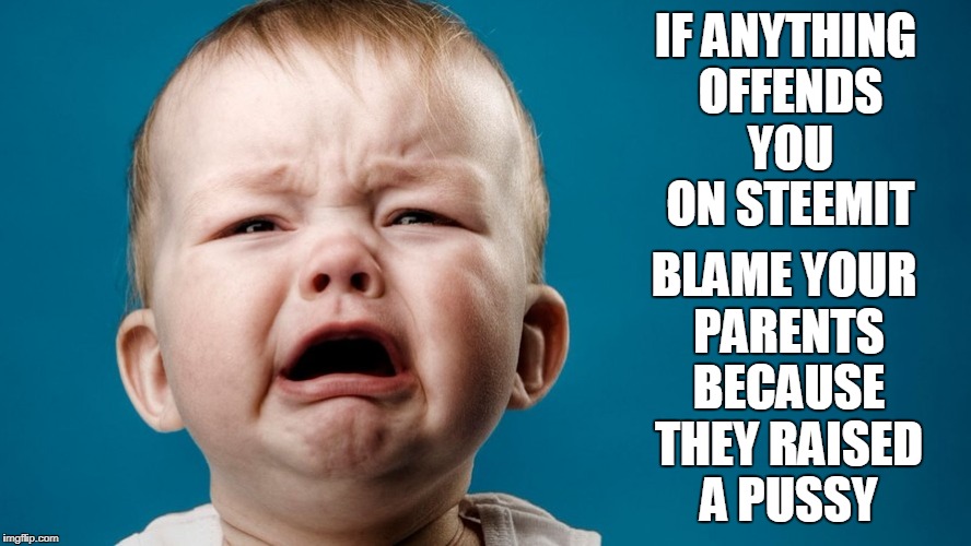 IF ANYTHING OFFENDS YOU ON STEEMIT; BLAME YOUR PARENTS BECAUSE THEY RAISED A PUSSY | made w/ Imgflip meme maker