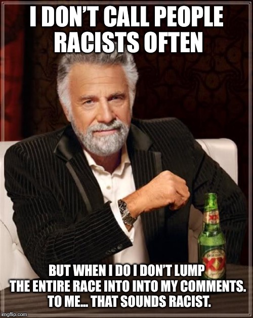 The Most Interesting Man In The World Meme | I DON’T CALL PEOPLE RACISTS OFTEN BUT WHEN I DO I DON’T LUMP THE ENTIRE RACE INTO INTO MY COMMENTS.  TO ME... THAT SOUNDS RACIST. | image tagged in memes,the most interesting man in the world | made w/ Imgflip meme maker