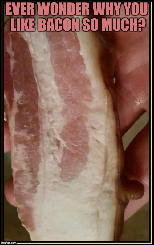 Bacon Nipple | EVER WONDER WHY YOU LIKE BACON SO MUCH? | image tagged in bacon nipple | made w/ Imgflip meme maker