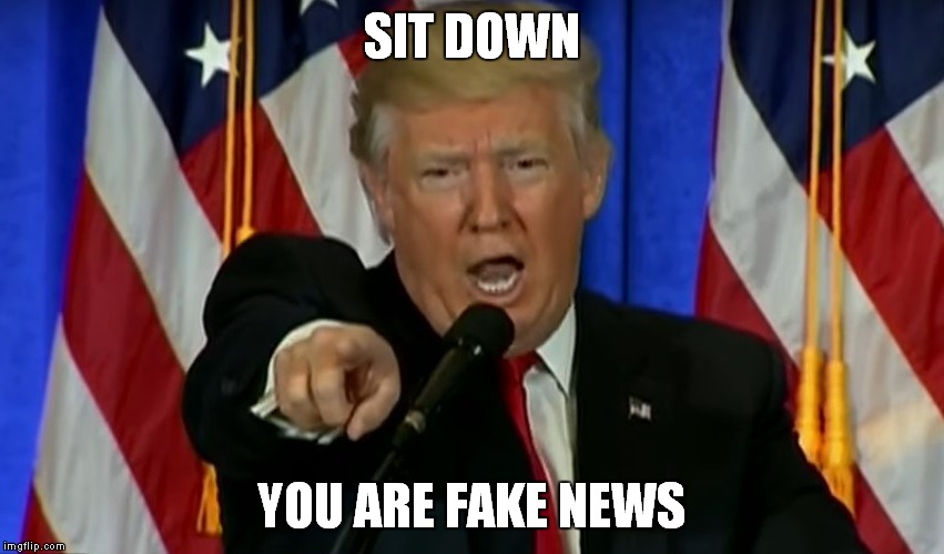 Trump Fake News  | SIT DOWN; YOU ARE FAKE NEWS | image tagged in trump fake news | made w/ Imgflip meme maker