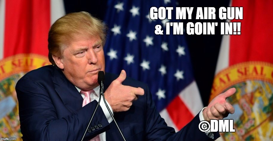 Trump Saves School | GOT MY AIR GUN & I'M GOIN' IN!! ©DML | image tagged in school shooting,donald trump | made w/ Imgflip meme maker