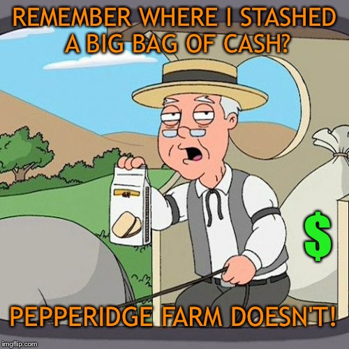 How'd that get back there? | REMEMBER WHERE I STASHED A BIG BAG OF CASH? $; PEPPERIDGE FARM DOESN'T! | image tagged in memes,pepperidge farm remembers,money,funny | made w/ Imgflip meme maker