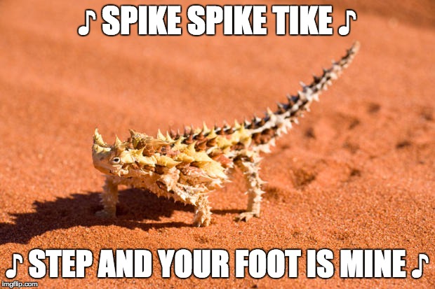 geco | ♪ SPIKE SPIKE TIKE ♪; ♪ STEP AND YOUR FOOT IS MINE ♪ | image tagged in geco | made w/ Imgflip meme maker