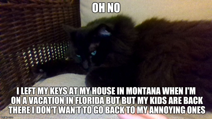 OH NO; I LEFT MY KEYS AT MY HOUSE IN MONTANA WHEN I'M ON A VACATION IN FLORIDA BUT BUT MY KIDS ARE BACK THERE I DON'T WAN'T TO GO BACK TO MY ANNOYING ONES | made w/ Imgflip meme maker