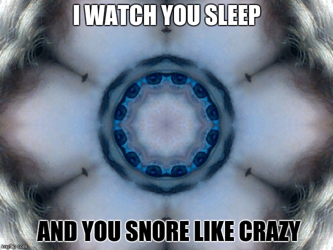 I WATCH YOU SLEEP; AND YOU SNORE LIKE CRAZY | image tagged in funny | made w/ Imgflip meme maker
