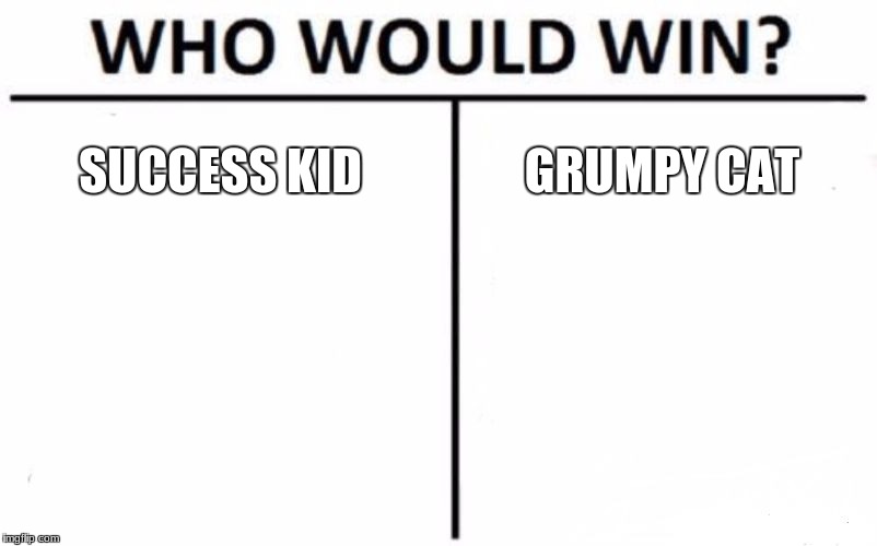 more meme battles! | SUCCESS KID; GRUMPY CAT | image tagged in memes,who would win | made w/ Imgflip meme maker