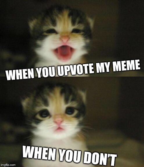 WHEN YOU UPVOTE MY MEME; WHEN YOU DON’T | image tagged in memes,happy cat,sad cat | made w/ Imgflip meme maker
