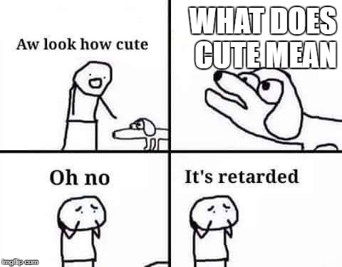 retarded dog | WHAT DOES CUTE MEAN | image tagged in retarded dog | made w/ Imgflip meme maker