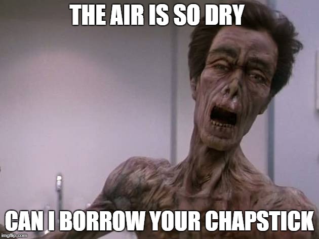 Fight winter dryness | THE AIR IS SO DRY; CAN I BORROW YOUR CHAPSTICK | image tagged in life | made w/ Imgflip meme maker