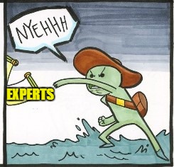 EXPERTS | made w/ Imgflip meme maker