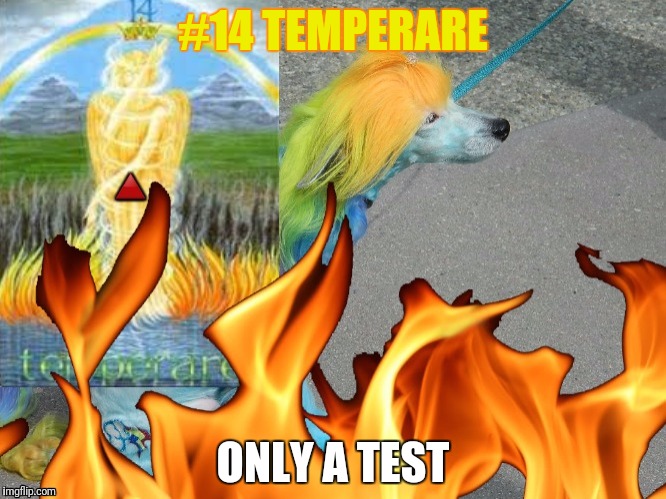 #14 TEMPERARE ONLY A TEST | made w/ Imgflip meme maker