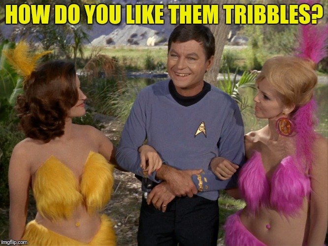 HOW DO YOU LIKE THEM TRIBBLES? | made w/ Imgflip meme maker