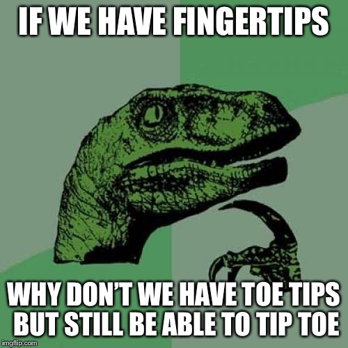 Philosoraptor | IF WE HAVE FINGERTIPS; WHY DON’T WE HAVE TOE TIPS BUT STILL BE ABLE TO TIP TOE | image tagged in memes,philosoraptor | made w/ Imgflip meme maker