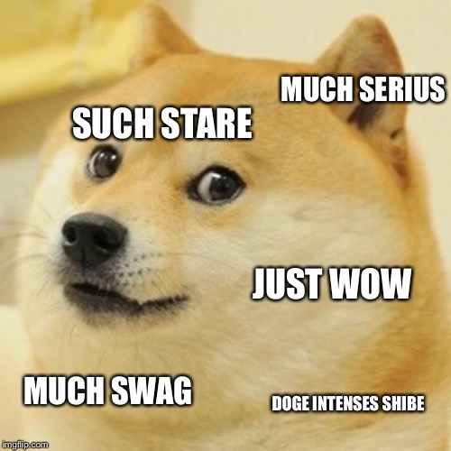 Doge Meme | MUCH SERIUS; SUCH STARE; JUST WOW; MUCH SWAG; DOGE INTENSES SHIBE | image tagged in memes,doge | made w/ Imgflip meme maker