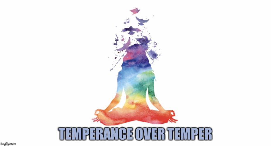 TEMPERANCE OVER TEMPER | image tagged in music meditation | made w/ Imgflip meme maker