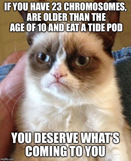 Grumpy Cat Meme | IF YOU HAVE 23 CHROMOSOMES, ARE OLDER THAN THE AGE OF 10 AND EAT A TIDE POD; YOU DESERVE WHAT’S COMING TO YOU | image tagged in memes,grumpy cat | made w/ Imgflip meme maker
