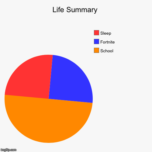 Life Summary | School, Fortnite, Sleep | image tagged in funny,pie charts | made w/ Imgflip chart maker