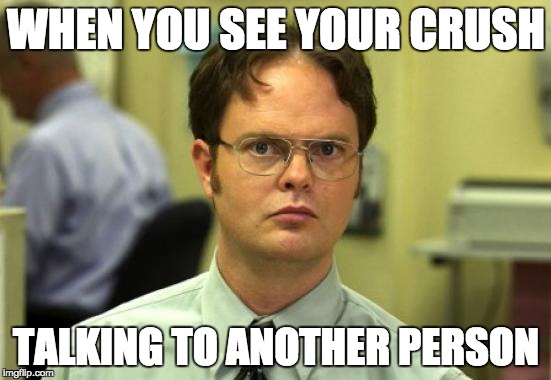 Dwight Schrute Meme | WHEN YOU SEE YOUR CRUSH; TALKING TO ANOTHER PERSON | image tagged in memes,dwight schrute | made w/ Imgflip meme maker