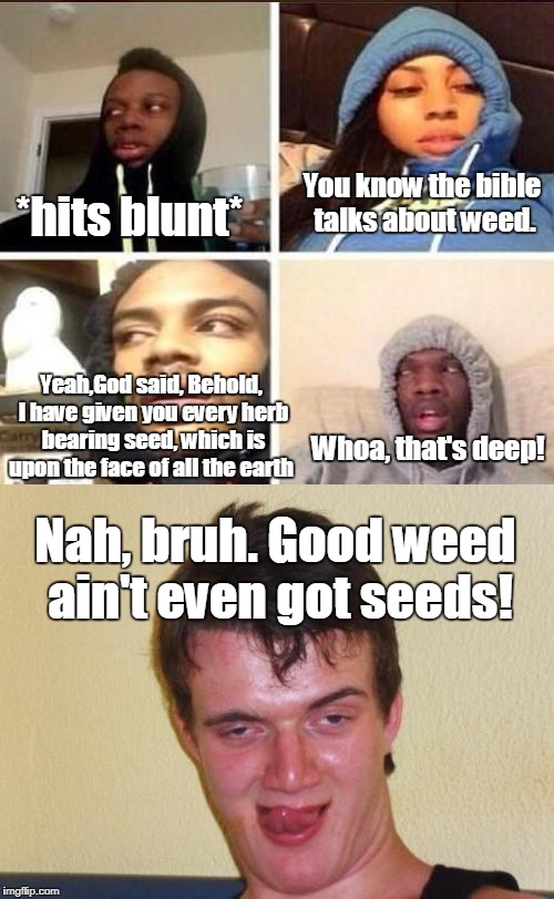 Actual conversation in the smoke circle... | *hits blunt* Nah, bruh. Good weed ain't even got seeds! You know the bible talks about weed. Yeah,God said, Behold, I have given you every h | image tagged in hits blunt,10 guy stoned,weed,herb,bible,memes | made w/ Imgflip meme maker