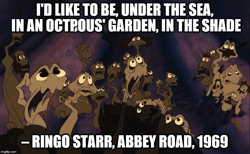 Under the sea | I'D LIKE TO BE, UNDER THE SEA, IN AN OCTPOUS' GARDEN, IN THE SHADE; – RINGO STARR, ABBEY ROAD, 1969 | image tagged in the little mermaid | made w/ Imgflip meme maker