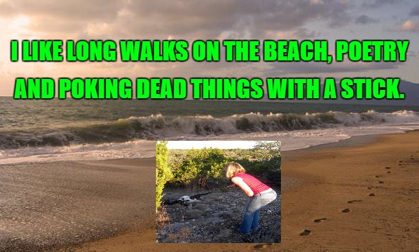I LIKE LONG WALKS ON THE BEACH, POETRY; AND POKING DEAD THINGS WITH A STICK. | image tagged in dark humor,sick humor | made w/ Imgflip meme maker