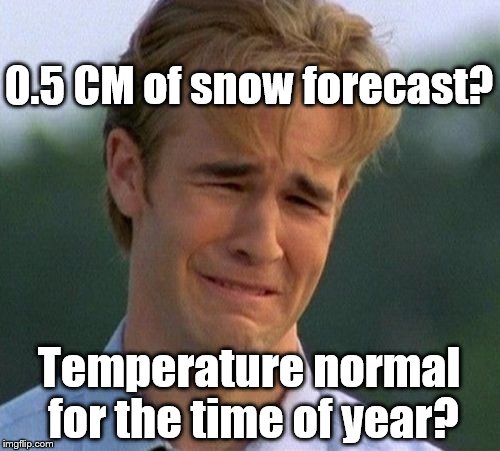 1990s First World Problems Meme | 0.5 CM of snow forecast? Temperature normal for the time of year? | image tagged in memes,1990s first world problems | made w/ Imgflip meme maker